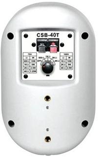 Громкоговоритель настенный Show CSB40T (WH)