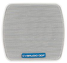 Громкоговоритель настенный CVGaudio ODF3TW