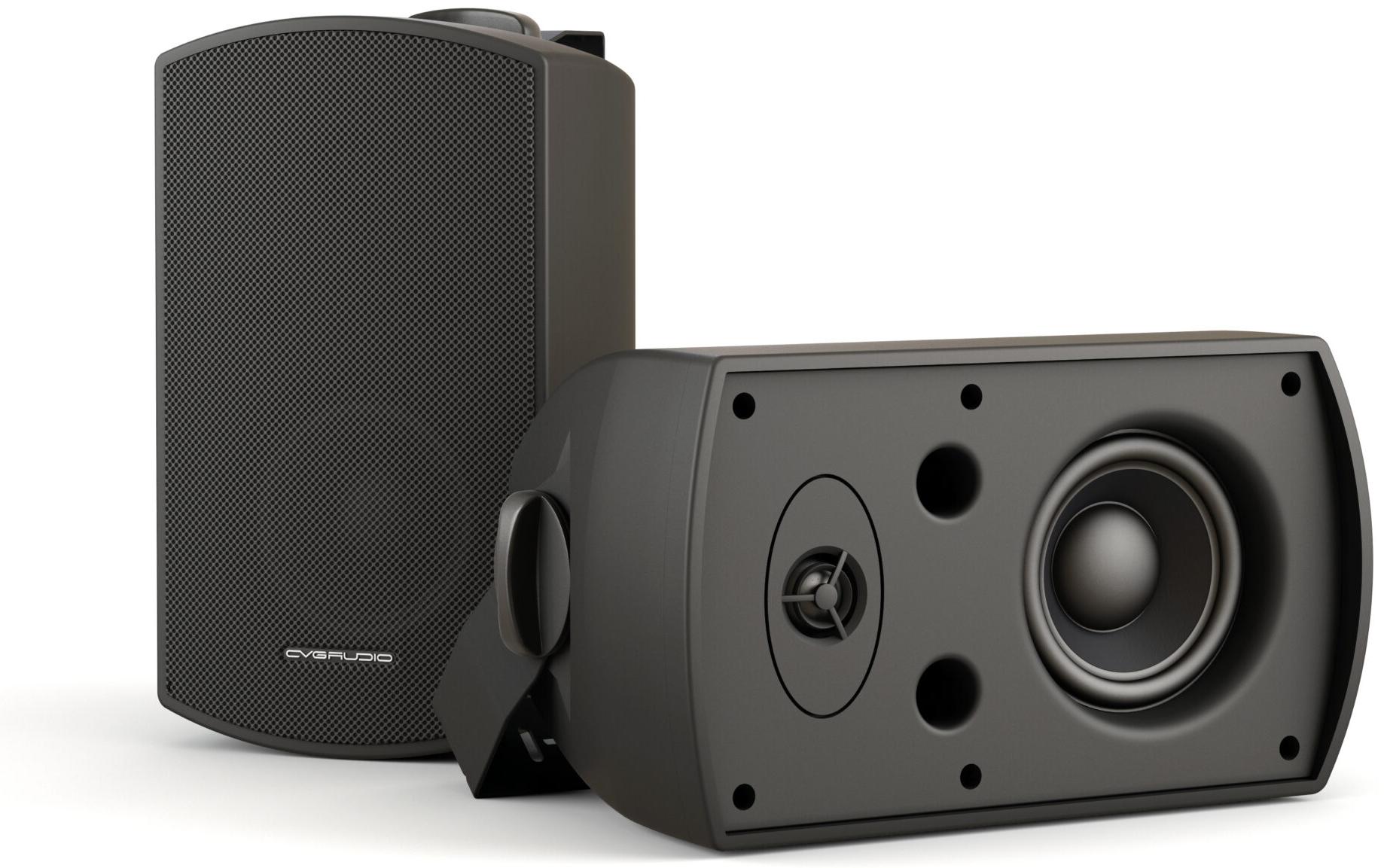 Громкоговоритель настенный CVGaudio RF416TBL