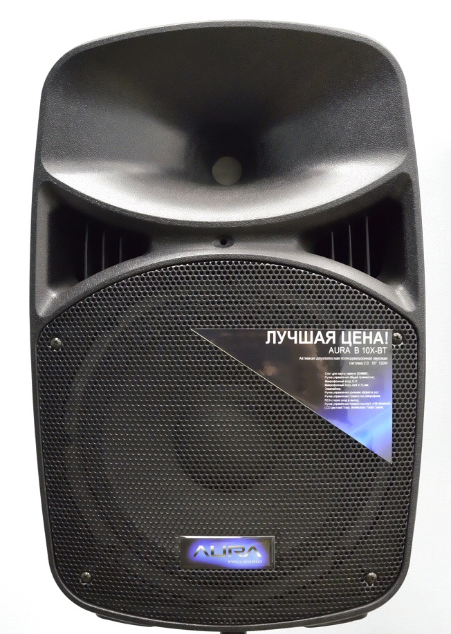 Акустическая система Активная Aura B10X-BT