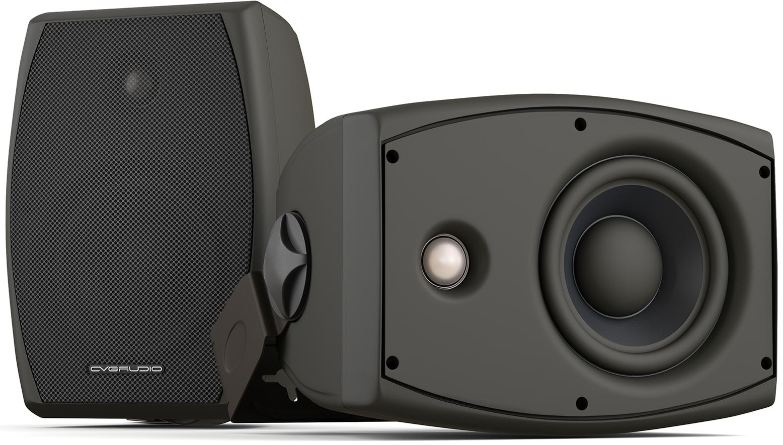 Громкоговоритель настенный CVGaudio ODF416TBL