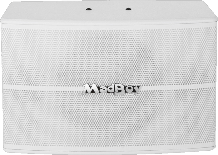 Активная акустическая система MADBOY SCREAMER-410W