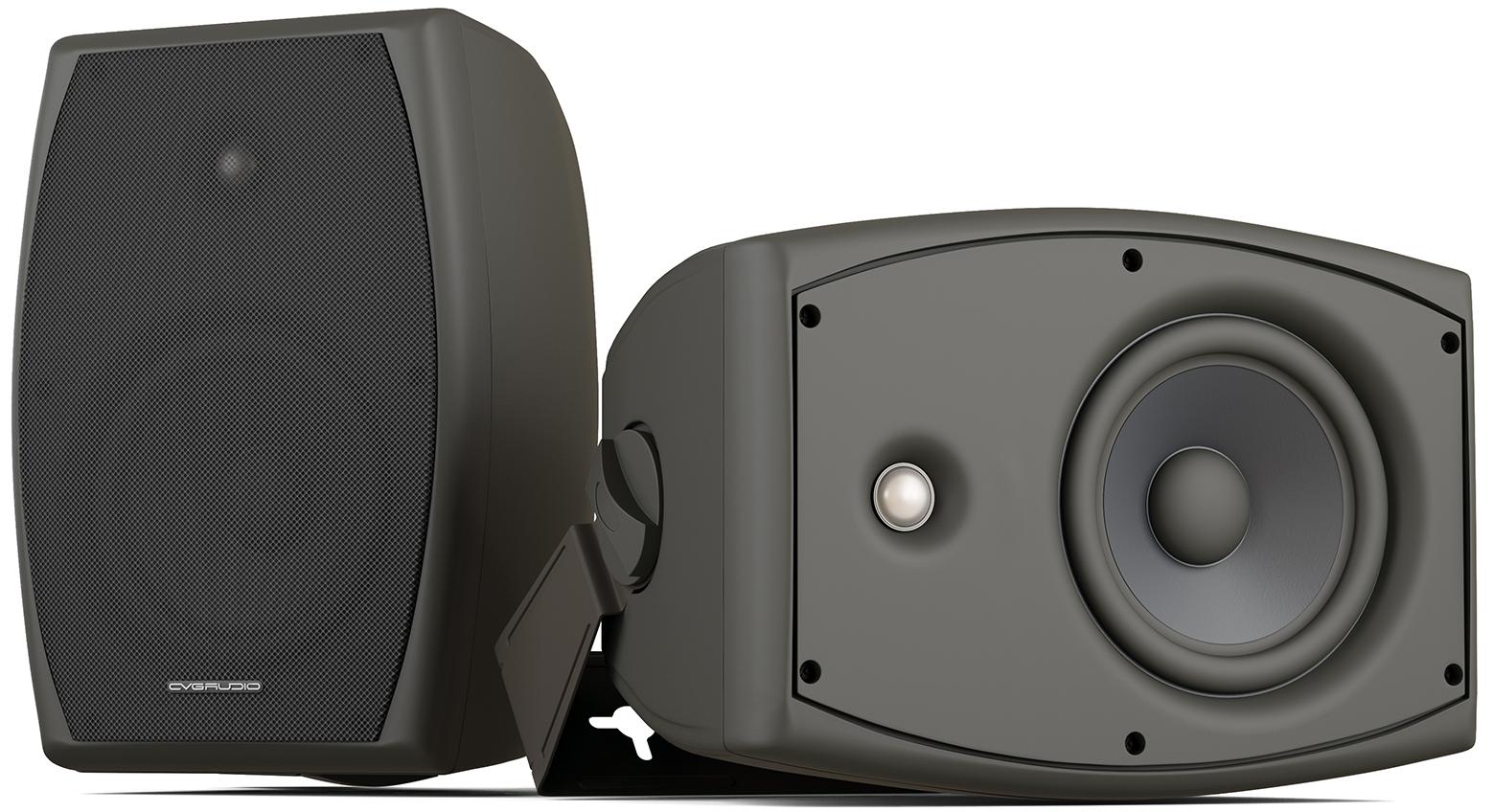 Громкоговоритель настенный CVGaudio ODF616TBL