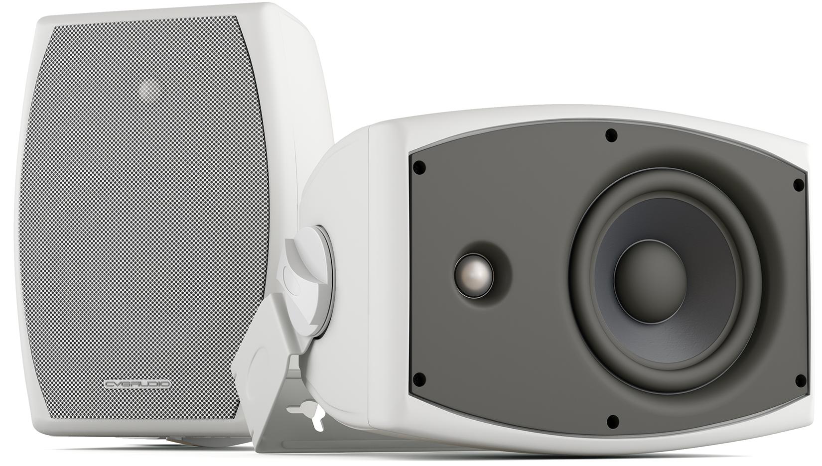 Громкоговоритель настенный CVGaudio ODF508TW