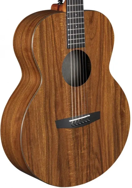 Гитара акустическая Enya EA-X1+