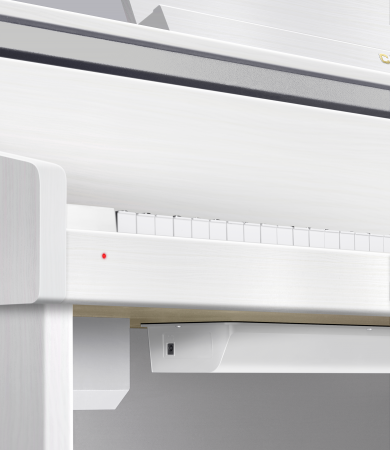 Цифровое пианино Casio Celviano GP-310WE