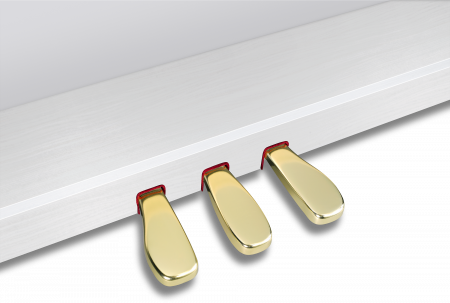 Цифровое пианино Casio Celviano GP-310WE