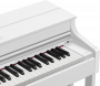 Цифровое пианино Casio Celviano AP-470WE