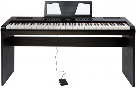 Цифровое пианино Rockdale RDP-4088 (Elegy) Black