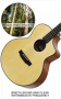 Гитара акустическая Smiger GN-30J