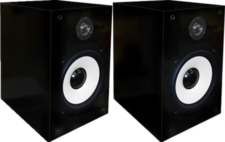 Активная акустическая система MADBOY SCREAMER-208B