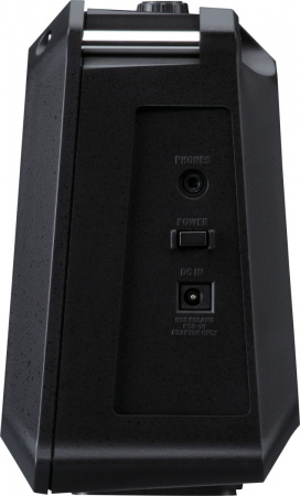 Комбоусилитель для акустической гитары Roland MOBILE-AC