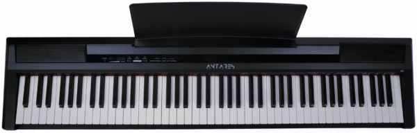 Цифровое пианино Antares D-300 Black