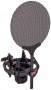 Микрофон студийный SE ELECTRONICS SE 2200