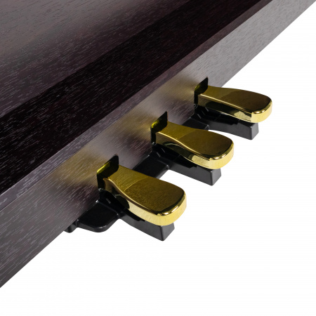 Цифровое пианино Rockdale Etude 128 Graded Rosewood