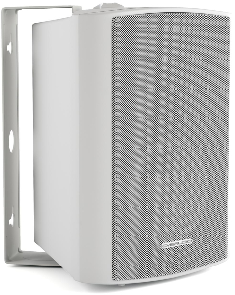 Громкоговоритель настенный CVGaudio NF5TW