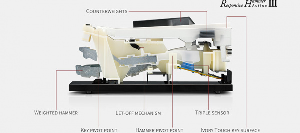 Цифровое пианино Kawai CN301 B