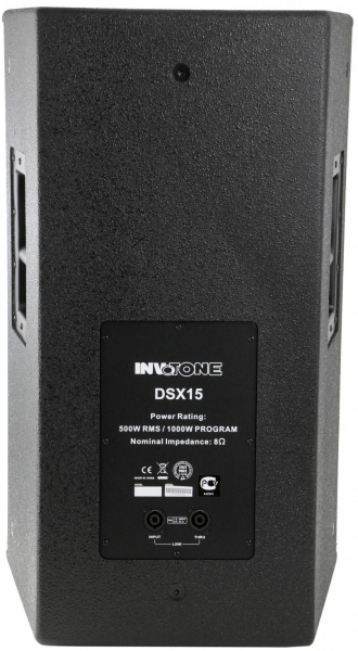 Акустическая система Пассивная Invotone DSX15