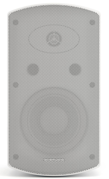 Громкоговоритель настенный CVGaudio RF616TW