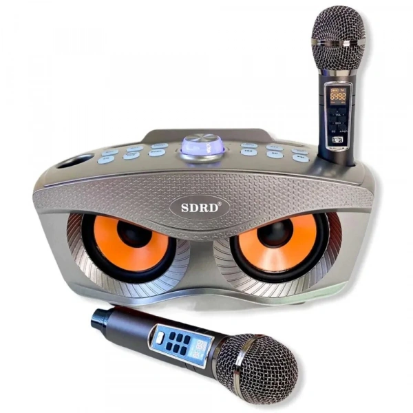 Караоке система с двумя радиомикрофонами SDRD SD 306 Plus Gold (Сова)
