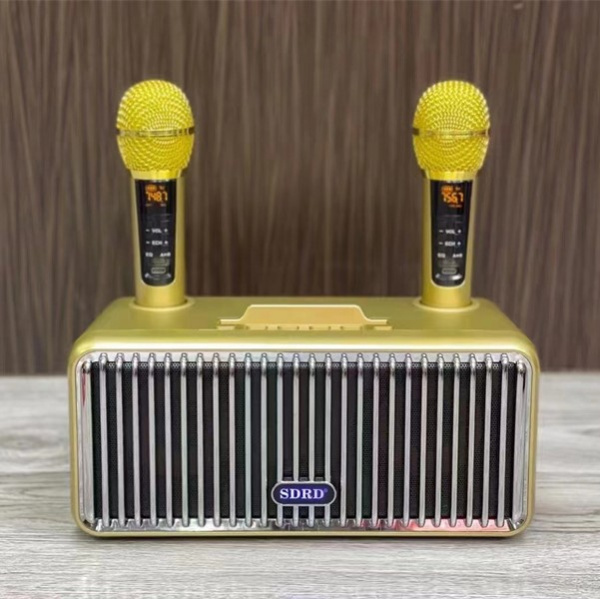 Караоке система с двумя радиомикрофонами  SDRD SD-319 Gold