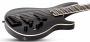 Бас-гитара Schecter SLS Elite-5 EVIL TWIN
