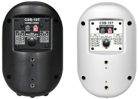 Громкоговоритель настенный Show CSB10T (BK)