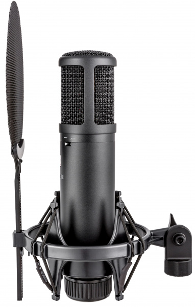 Микрофон студийный SE ELECTRONICS SE 2200