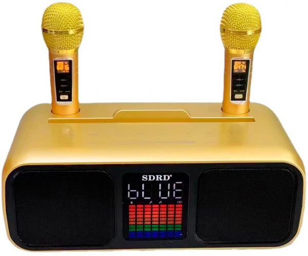 Караоке система с двумя радиомикрофонами SDRD SD 318 Gold