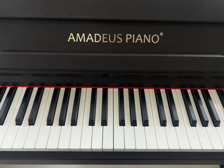 Цифровое пианино Amadeus Piano AP-800 Black