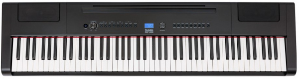 Цифровое пианино Rockdale RDP-4088 (Elegy) Black