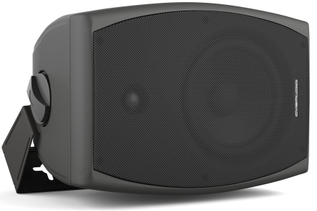 Громкоговоритель настенный CVGaudio ODF608TBL