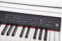 Цифровое пианино Grand Sound GS-X120 WH