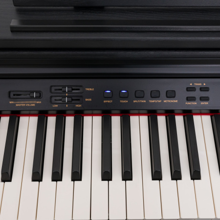 Цифровое пианино Rockdale Fantasia 128 Graded Black