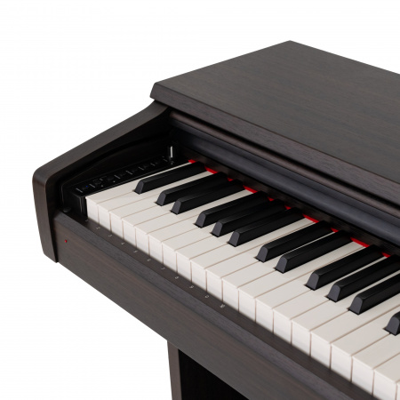 Цифровое пианино Rockdale Arietta Rosewood