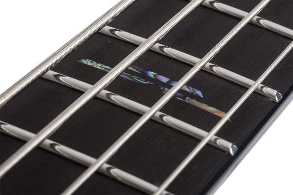 Бас-гитара Schecter C-4 Silver Mountain TXV