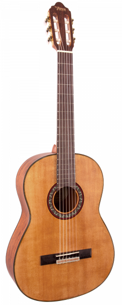 Гитара классическая Valencia VC404