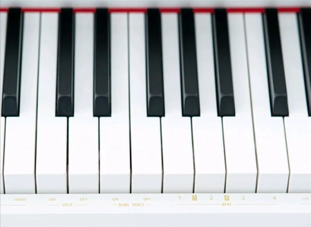 Цифровое пианино Opera Piano DP-145 Rosewood + Банкетка