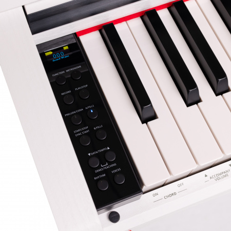 Цифровое пианино Rockdale Toccata White