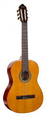 Гитара классическая Valencia VC264